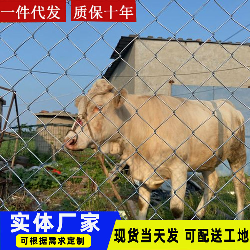 镀锌勾花网园林绿化隔离网工程安全防护铁丝网现货拧花编织勾花网