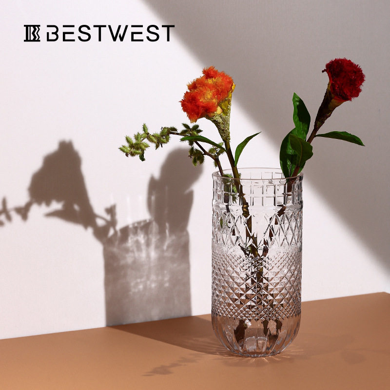 Best west 透明水培玻璃花瓶摆件创意家居客厅玄关装饰品桌面器皿,电子元器件市场,电线扎带/束线带,淘宝优惠券,粉丝福利购,淘宝优惠卷