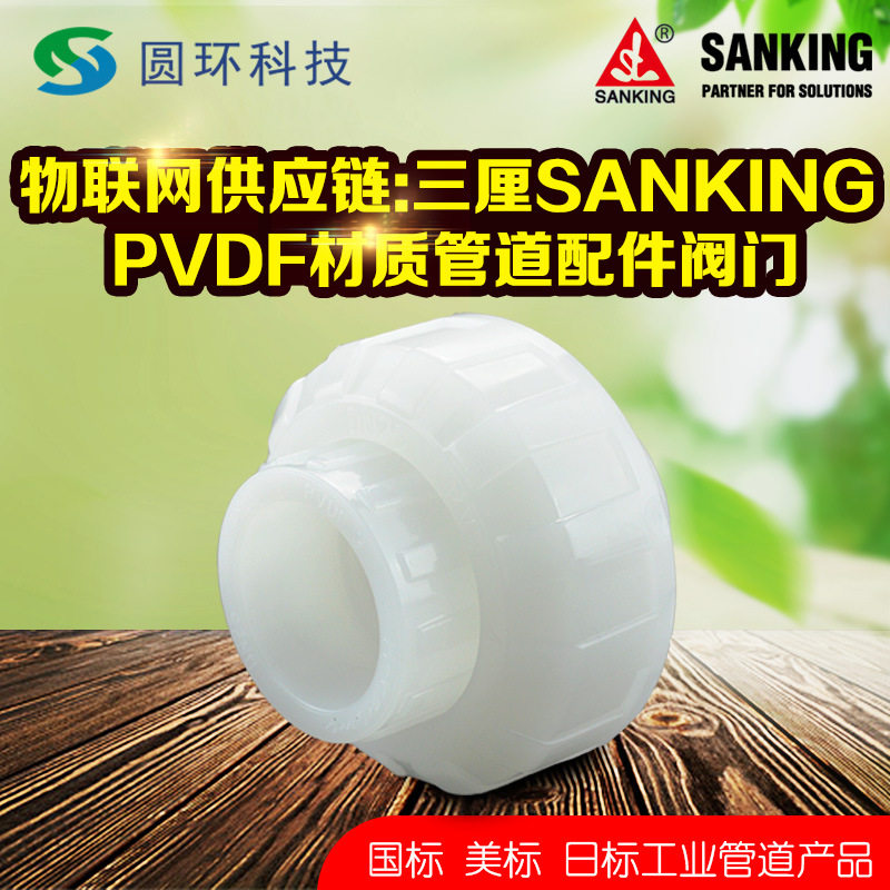 SANKING三厘PVDF活接VITON2.5寸3寸4寸fpm化工PVDF由令管接头