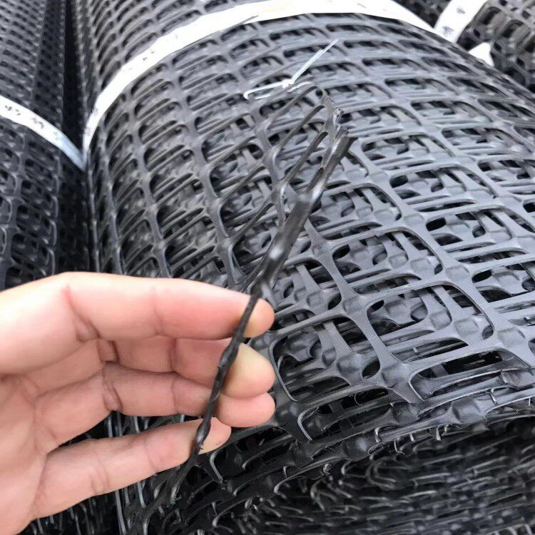 新型养殖网黑色塑料篱笆网阳台防护网圈玉米网隔离栅网现货供应