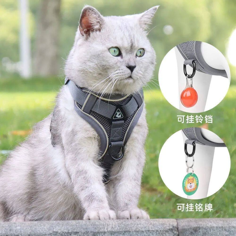 新款猫咪牵引背心式胸背带防挣脱外出猫链中小型犬狗绳子宠物用品