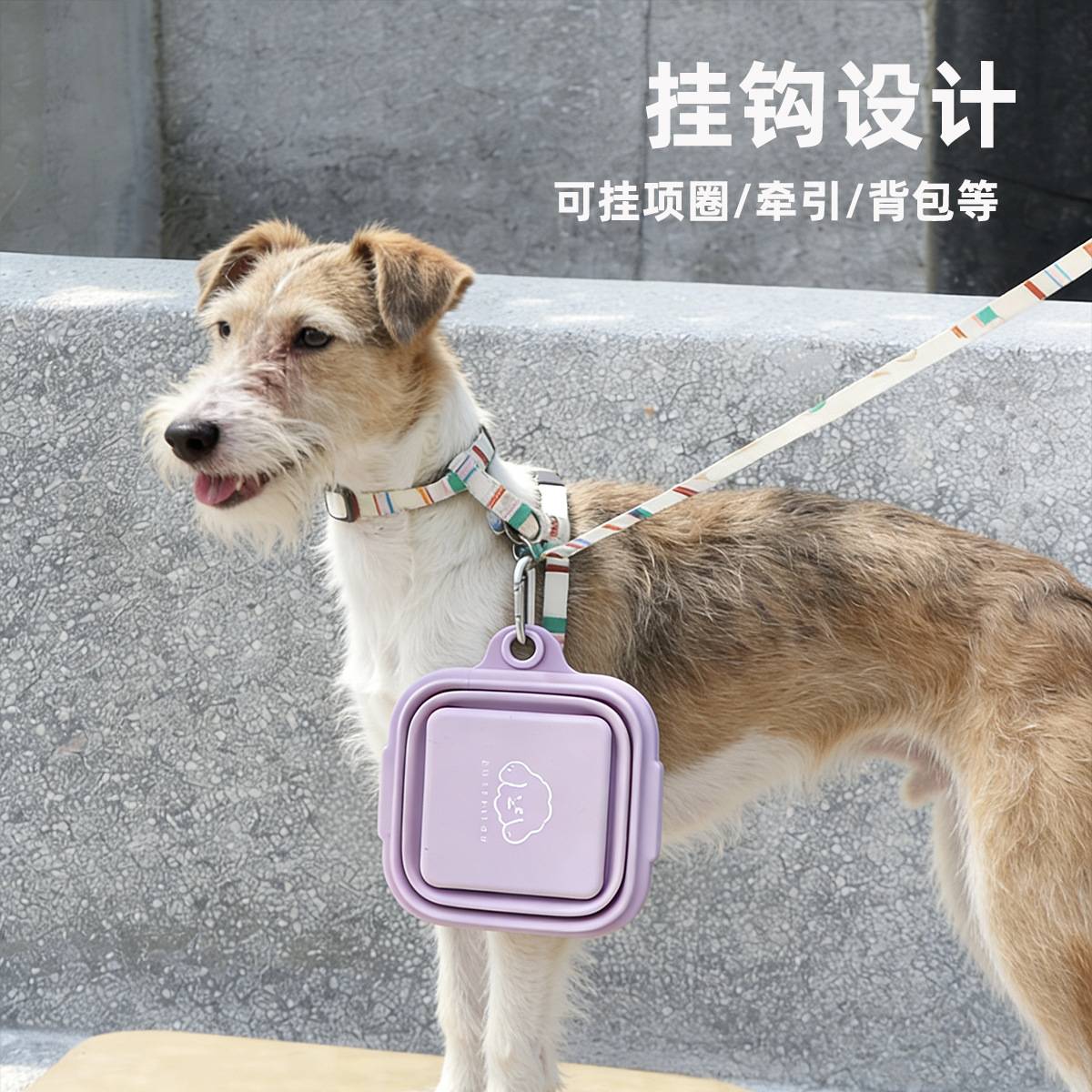 狗狗外出折叠碗式硅胶双碗大容量宠物随行碗户外猫食盆水粮碗