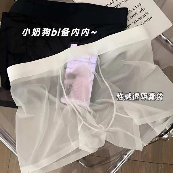 琳雅欣小奶狗bi备内内性感透明囊袋冰凉夏季超薄无痕冰丝平角裤