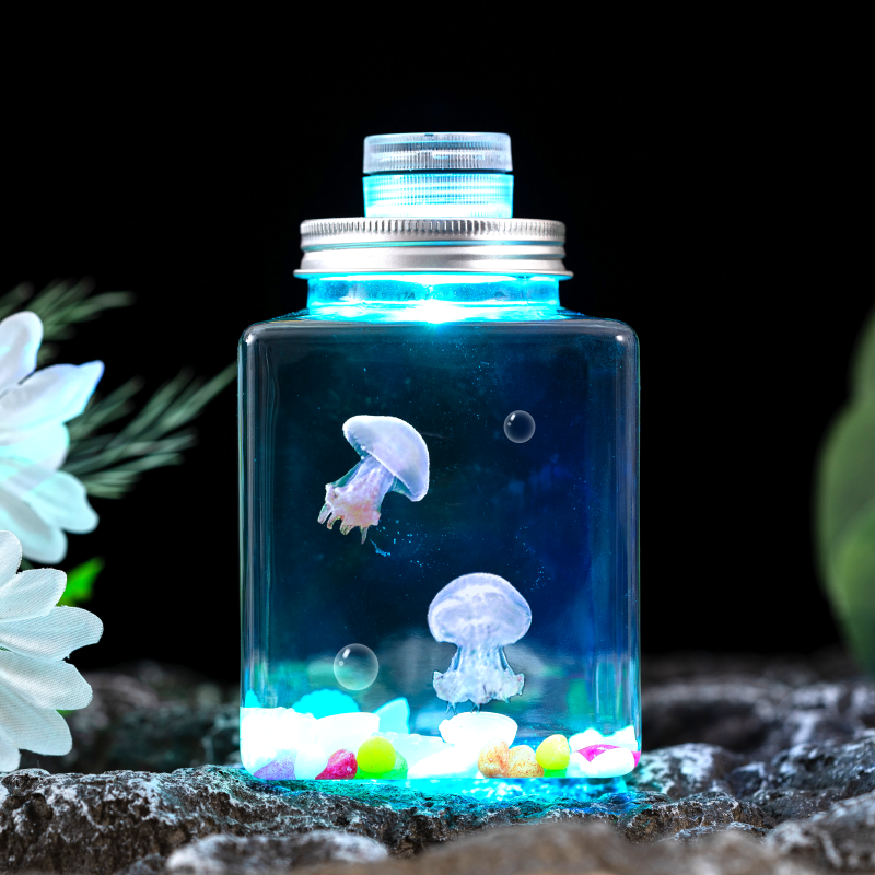 水母活物宠物发光水母礼物学生