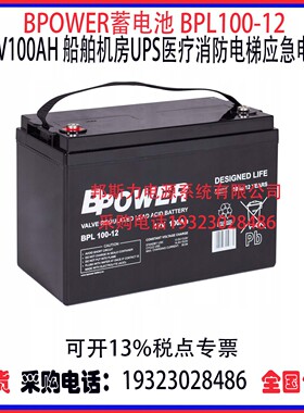 美国BPOWER蓄电池BPL100-12 12V100AH机房UPS医疗消防应急电源