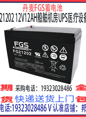 丹麦FGS蓄电池FG21202 12V12AH铅酸免维护 船舶机房通信医疗设备