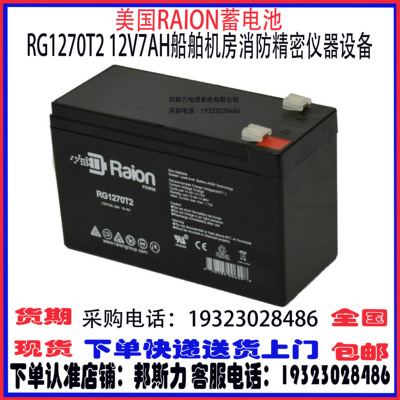 美国RAION蓄电池UPS应急设备