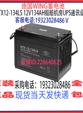 德国WING蓄电池BTX12-134LS 12V142AH船舶机房UPS储能应急电源