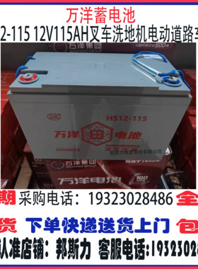 万洋蓄电池HS12-115 12V115AH叉车洗地机电动道路车辆特种设备