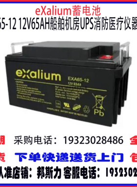 eXalium蓄电池EXA40 55 65 75 100-12 12V全系列机房UPS消防应急