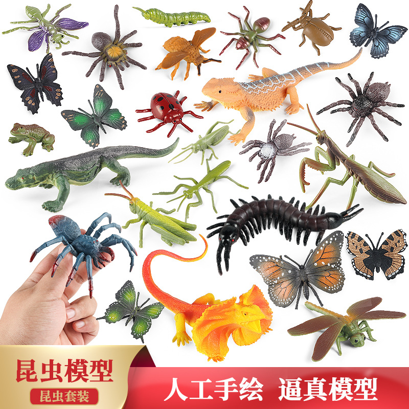 儿童认知昆虫模型蜻蜓蝴蝶蚱蜢