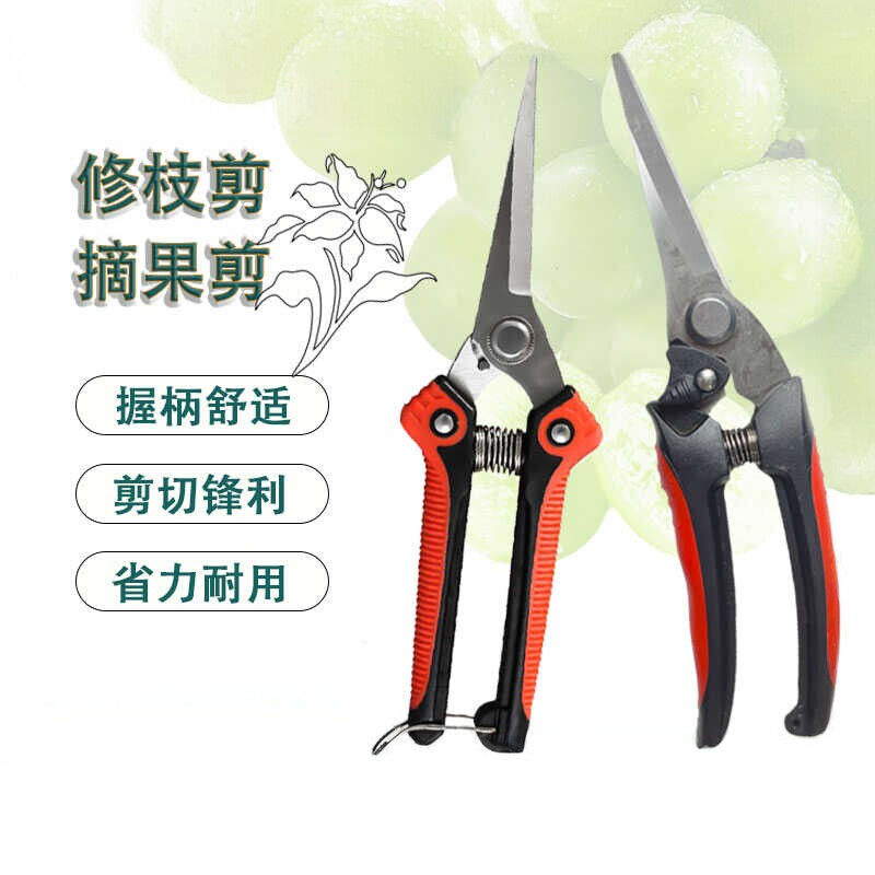 摘果剪花园果树专用园林修花剪修枝剪蔬果稀果剪子锋利剪刀农用