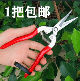 采摘修剪农用园林园艺花艺剪摘果剪修花剪稀果剪蔬果剪采果剪刀