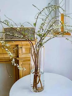 雪柳专用花瓶玻璃干支雪柳喷雪花专用龙银柳吊钟南天竺鲜切枝条