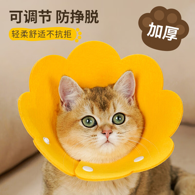伊丽莎白圈猫绝育项圈猫咪头套防舔围脖伊莉莎白伊利沙白圈狗脖圈
