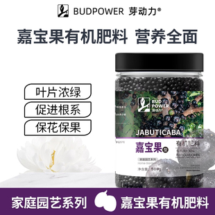 芽动力嘉宝果专用肥料复合肥有机颗粒缓释肥微量元素果树苗盆栽肥