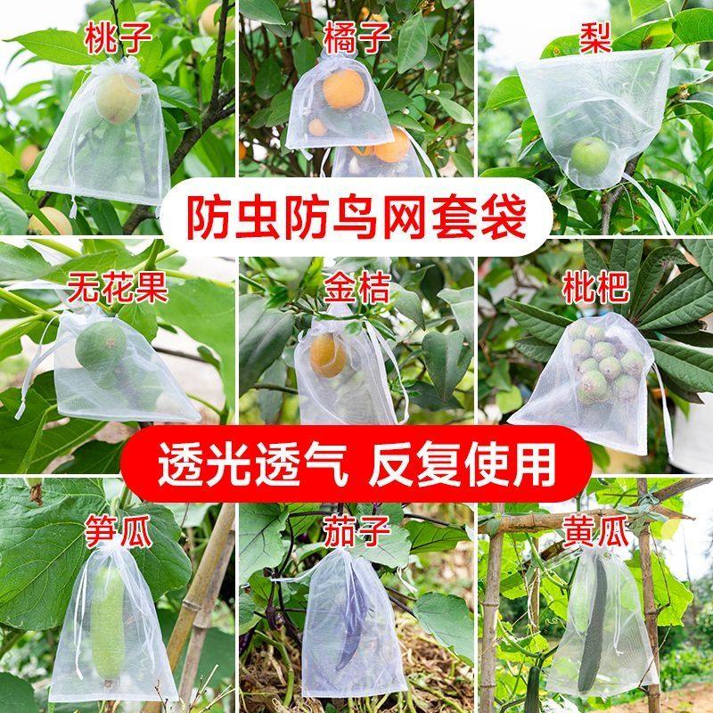 水果套袋防鸟防虫专用网袋葡萄无花果枇杷芒果苹果袋草莓保护袋子