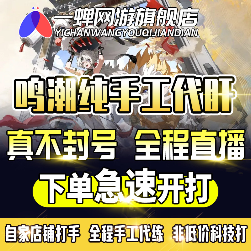 [直播]鸣潮手工代练代肝代打主线任务等级探索声匣声骸日常数据坞