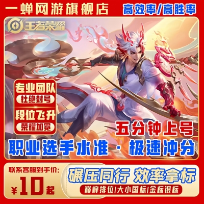 【首单免费高效率】1分钟上号王者荣耀代打代练陪玩巅峰大小国标