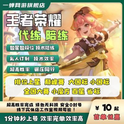 王者荣耀代打代练排位战力巅峰赛省标大国标小国标陪玩带上分车队
