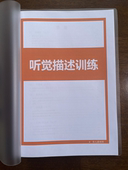 退换 听觉描述训练 不 非视频课程 自闭症孤独症家庭干预教程