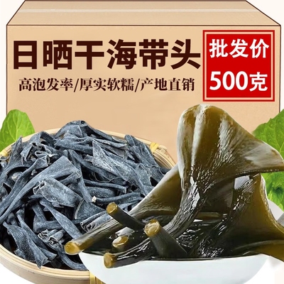 无沙新货霞浦海带头高倍泡发率