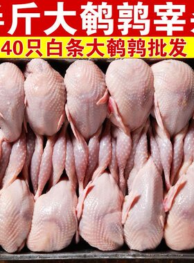 40只大号母鹌鹑新鲜鹌鹑肉速冻白条鹌鹑烧烤鹌鹑鸟现杀乳鸽一整箱