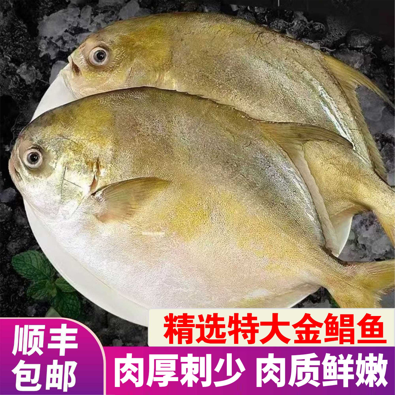 【顺丰】国捕金鲳鱼特大金昌鱼平鲳鱼