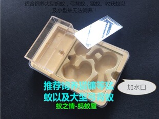 蚁之情 蚂蚁宠物蚂蚁巢穴 巢石膏巢 平面石膏巢穴好观察