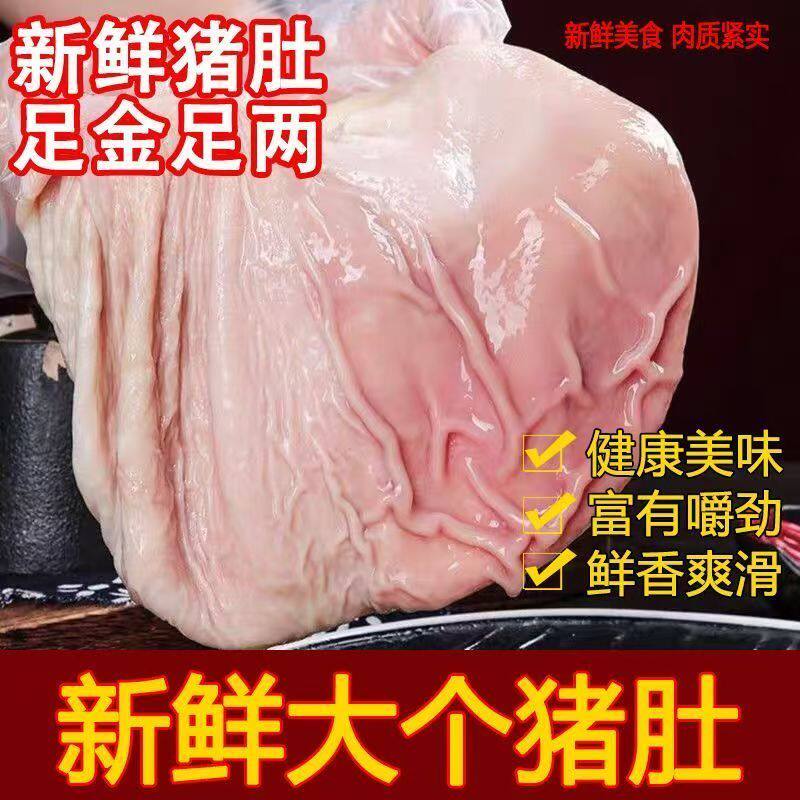 猪肚农家散养新鲜特大猪肚整只冰肚特厚肚子干净大肚猪胃批发生猪