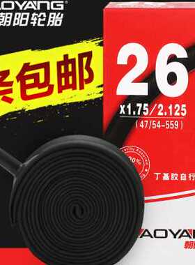 朝阳山地自行车内胎16/18/20/24/26寸x175*195单车轮胎儿童大全14