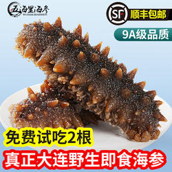大连海参野生即食海参正品官方旗舰店深海刺参鲜活辽参500g单个装
