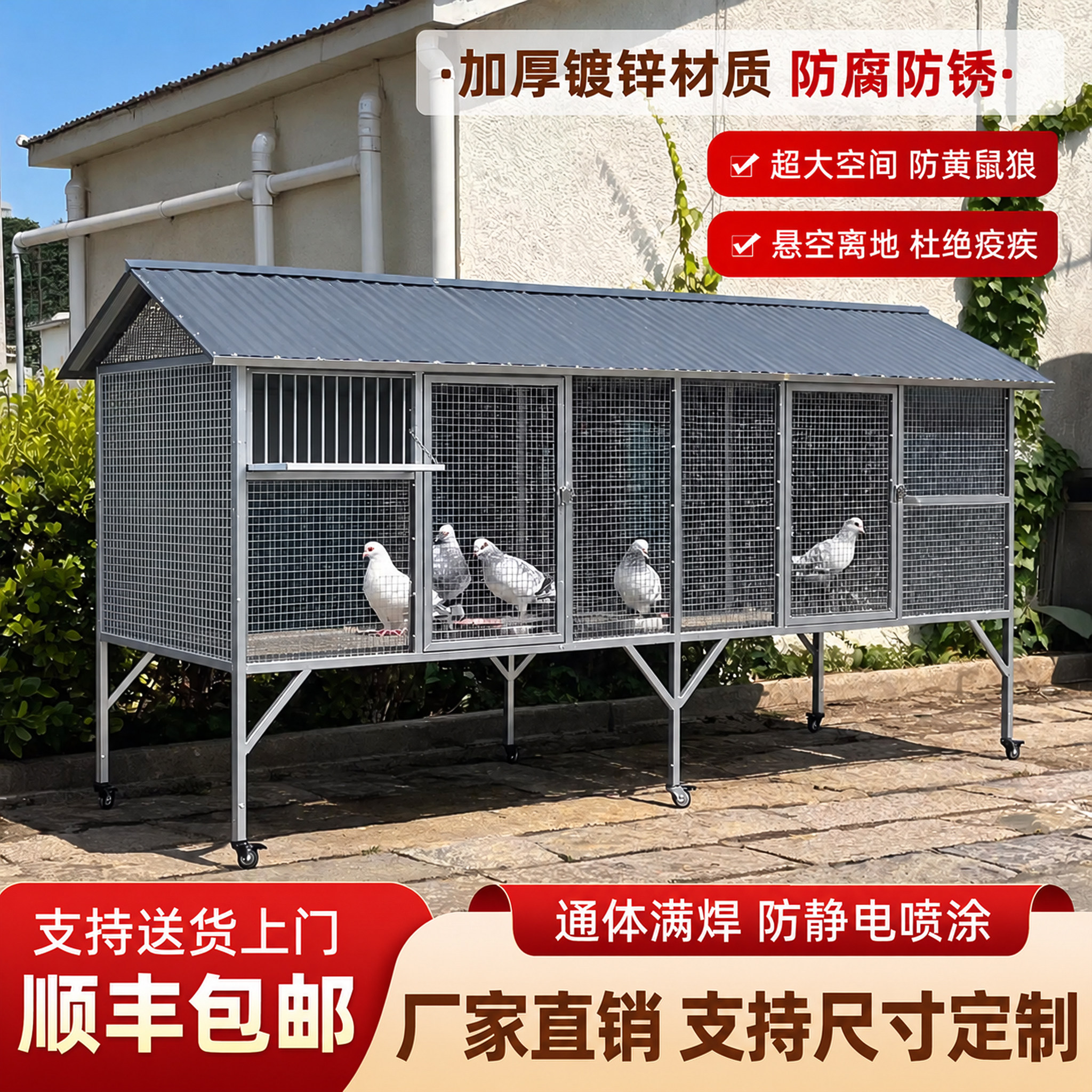大牛鸽子笼大号防黄鼠狼