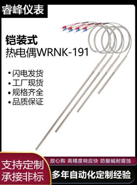 铠装热电偶WRNK191高温温度传感器探针K型Pt100热电阻可弯曲探头