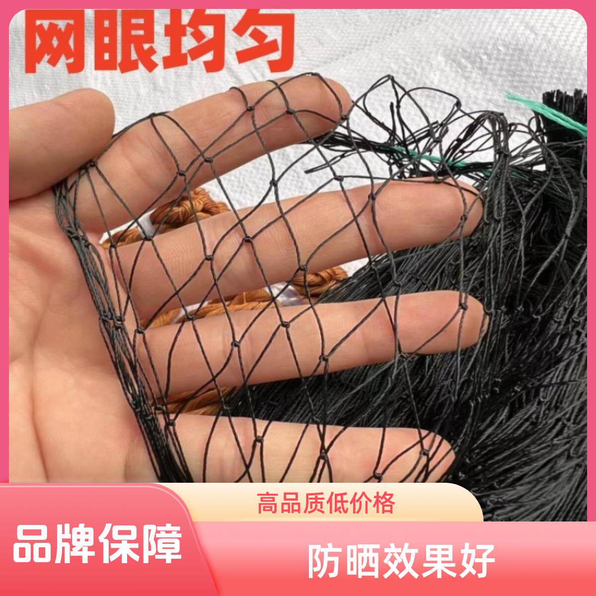 小网眼3.0/3.2/3.5黄鳝泥鳅专用校园防护网加粗尼龙线庭院围墙