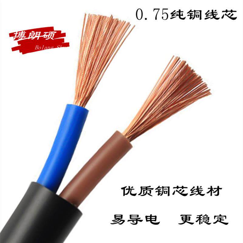 303高品质LED灯国标两脚纯铜电源线两芯家用带开关按钮灯条插头线