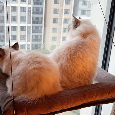 KH猫吊床吸盘式挂窝宠物床网面可拆洗猫笼猫爬高晒太阳台四季猫窝