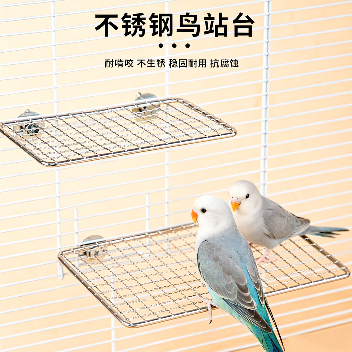 鹦鹉不锈钢休息台跳台不锈钢网架