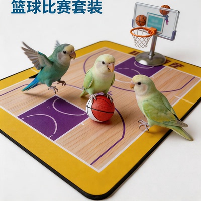 鹦鹉玩具平衡车解闷陪伴益智牡丹小太阳皮滑板车技能训练玄凤鸟用
