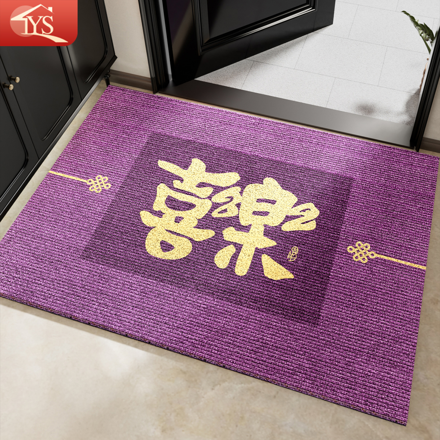 九紫离火运风水入户门地垫紫色进门口家用防滑脚垫大门外丝圈地毯