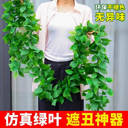 仿真花绿植假绿叶藤条空调管子装饰美化遮挡下水管塑料假花藤遮丑