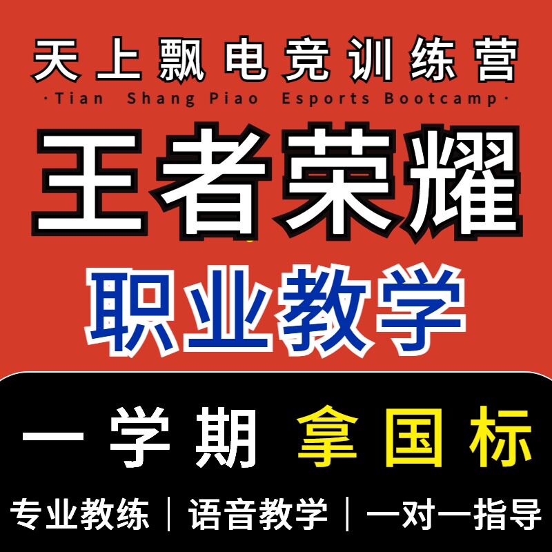 王者荣耀教学私教技术陪练教练导师复盘教程课程学习培训射手拜师