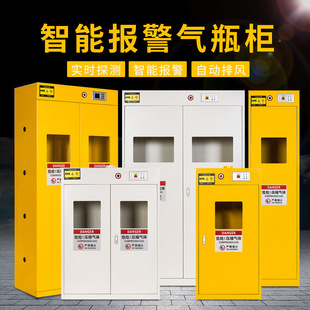 气瓶柜安全柜煤气罐双瓶乙炔储存柜带智能报警排风钢瓶柜钢制防爆