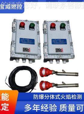 油田水炉W紫外线火焰检测设备BBWFZJ-1FJ-Z套1KF