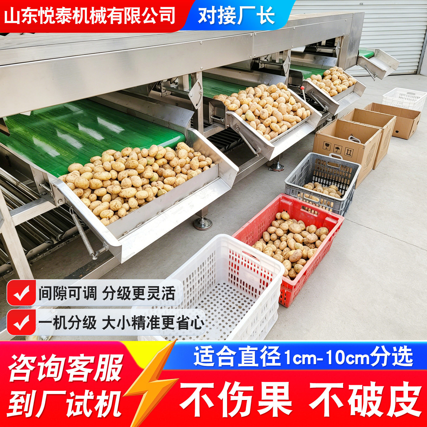 红橘贡柚滚杠分选机土豆番薯滚杠式筛选机不锈钢人参果滚杠分级机