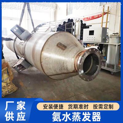脱器硝氨水气化器 2205 207 316XCY-20175L不锈蒸发 尿素热解炉