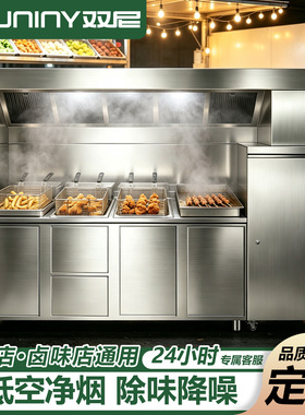 双尼移动烹饪餐车内循环油烟净化一体机炸炉无管道油烟净化餐车