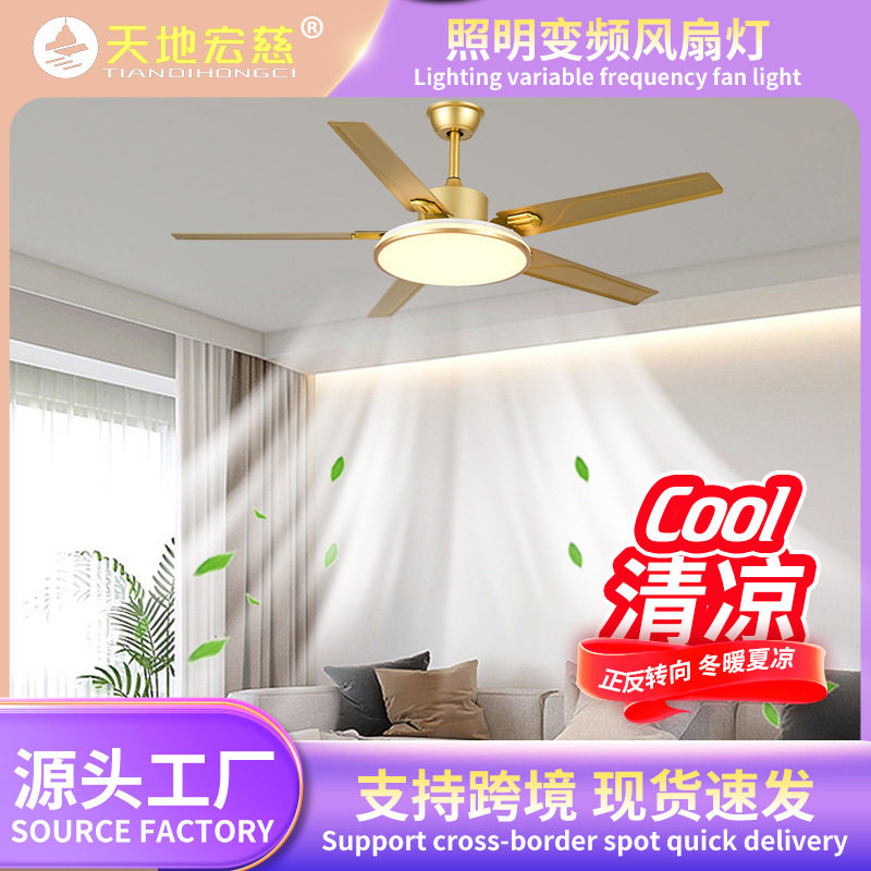 五叶不锈钢吊扇 客厅餐厅现代简约吊灯 新款家用变频静音电风扇灯