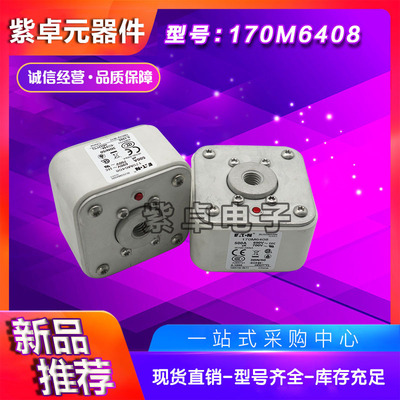 170M6301/6302/6303/6304/6305/6306/6307伊顿巴斯曼快速熔断器