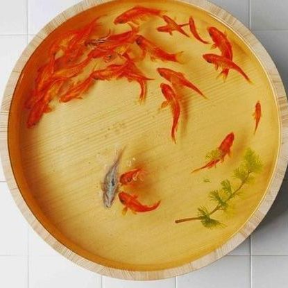仿真花假水胶 工艺水晶胶 透明假水 工艺品胶 建筑规化模型假水